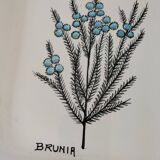 Trio of square Deruta plates signed MARI E.C., botanical decoration 962.21