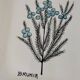 Set of three square plates from Deruta signed MARI E.C., botanical decoration 962.21