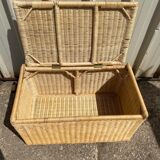 Wicker trunk