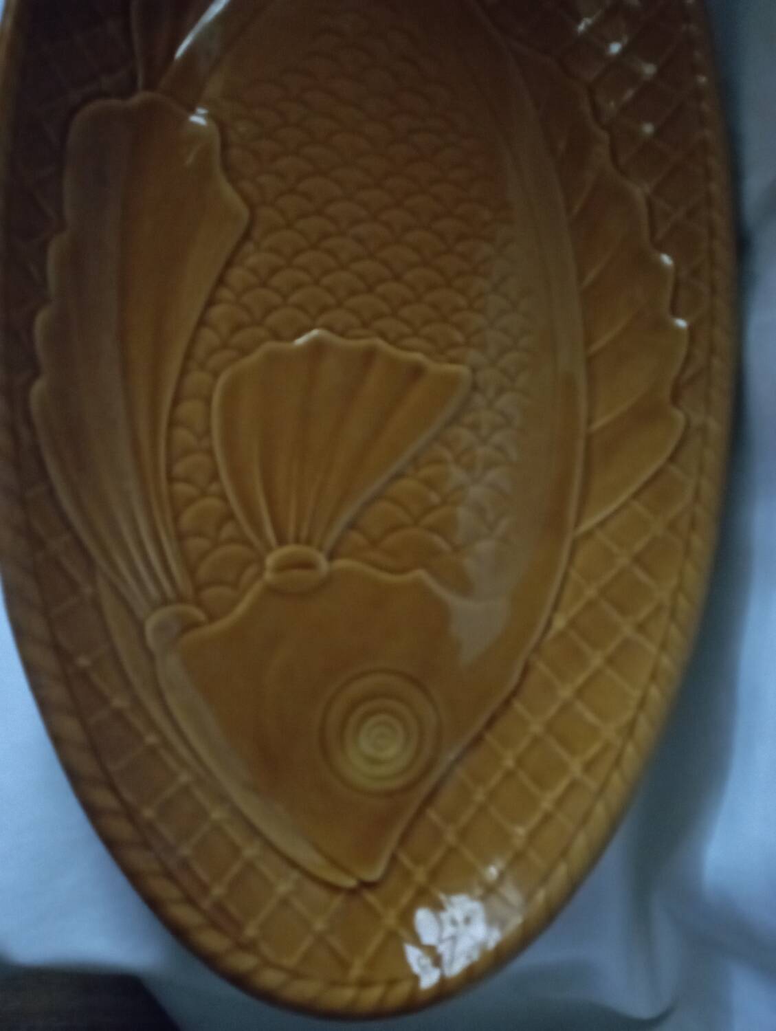 Fish dish