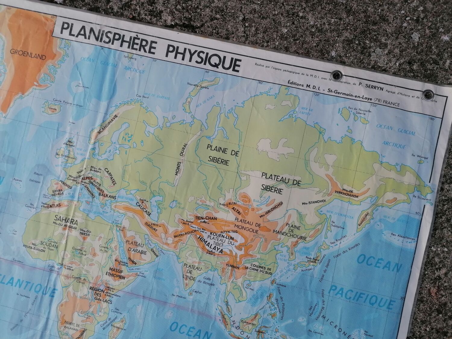 Planisphere world map vintage physics and vegetation