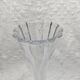 "Capucine" crystal vase