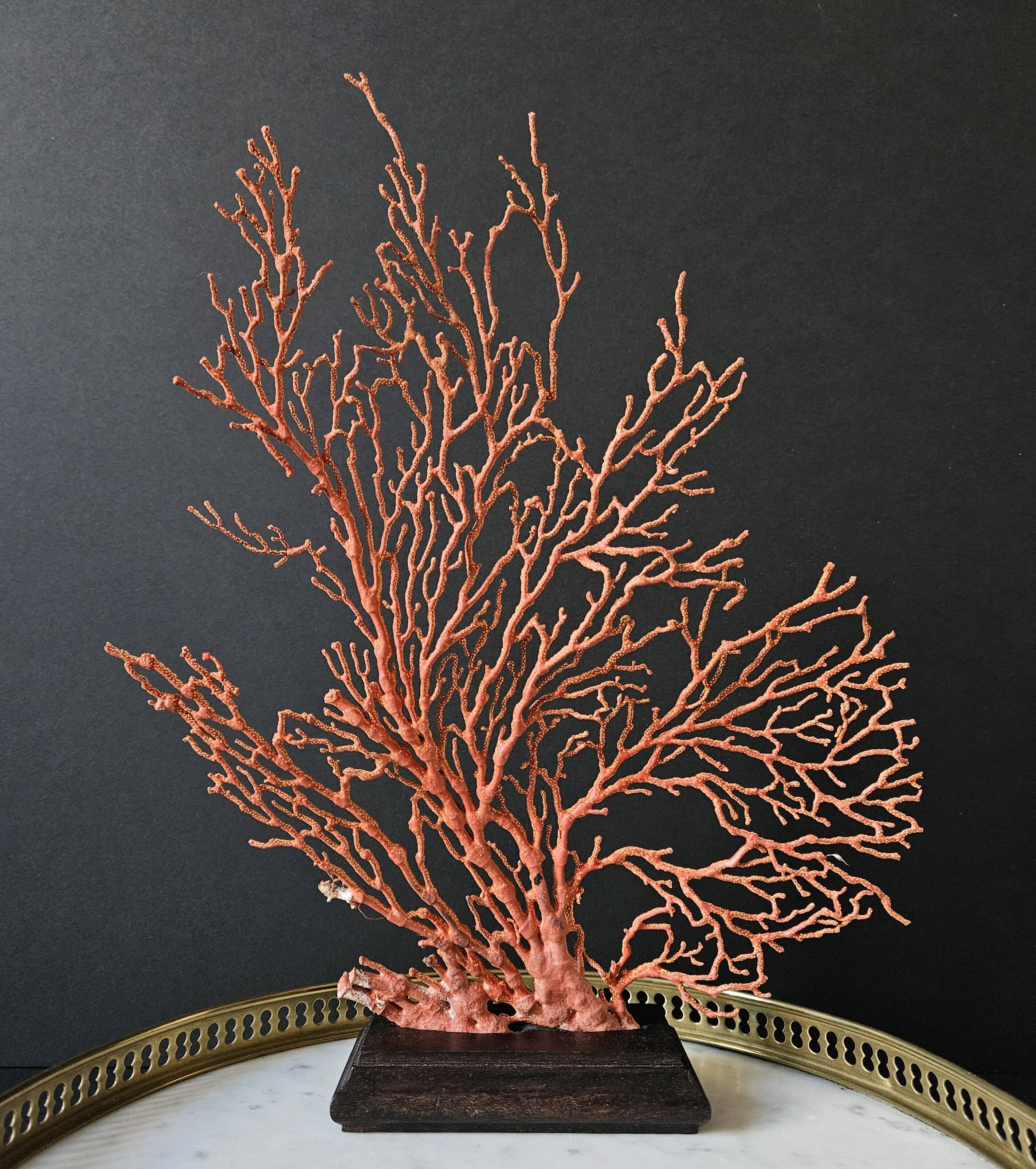 Large Red/Orange Gorgon Stained wooden base. H: 32 cm