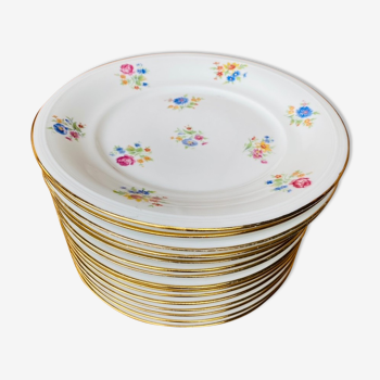 Set of 16 old plates in porcelain France.