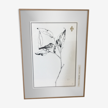 Illustration - l'oiseau et la branche n°2