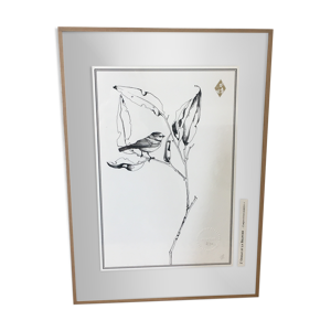 Illustration - l'oiseau