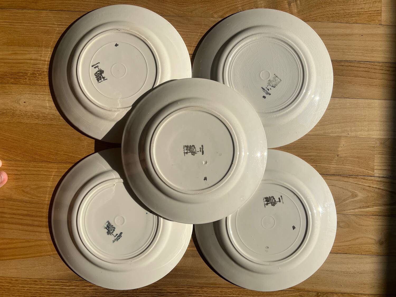 Badonvillier dinner plates