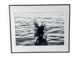 Photographie "Crazy hair", Marseille
