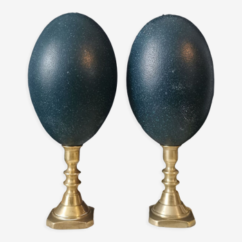 Pair of Emu Eggs, English Bronze Base (Early XXth) 20 cm | Curiosity Collection Object