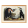 Poster about the Red-necked Grebe, after an old engraving from 1827.