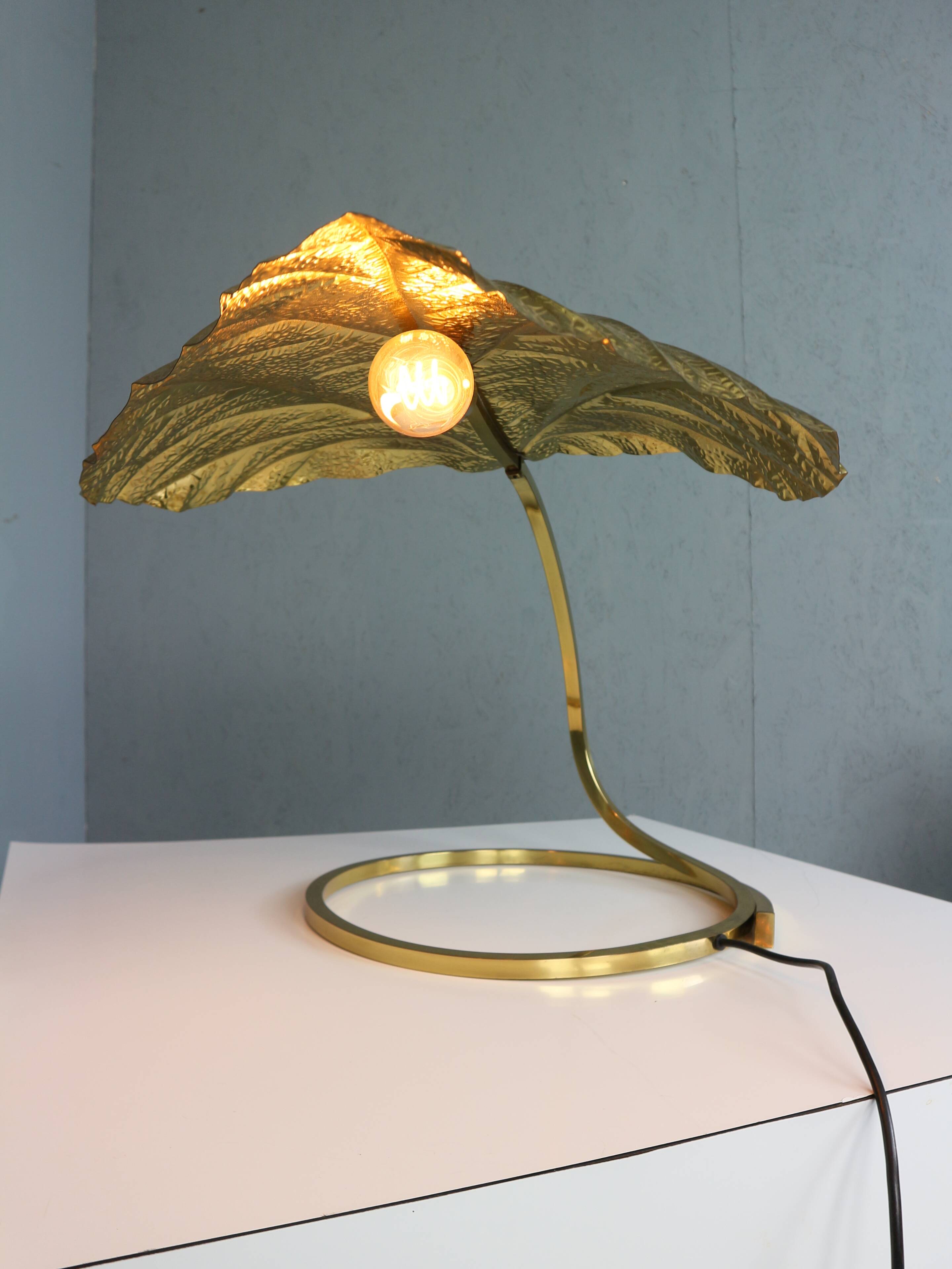 Tommaso Barbi "Rhubarb" table lamp by Bottega Gadda Italy, 1970