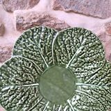 Soup tureen with slushie cabbage