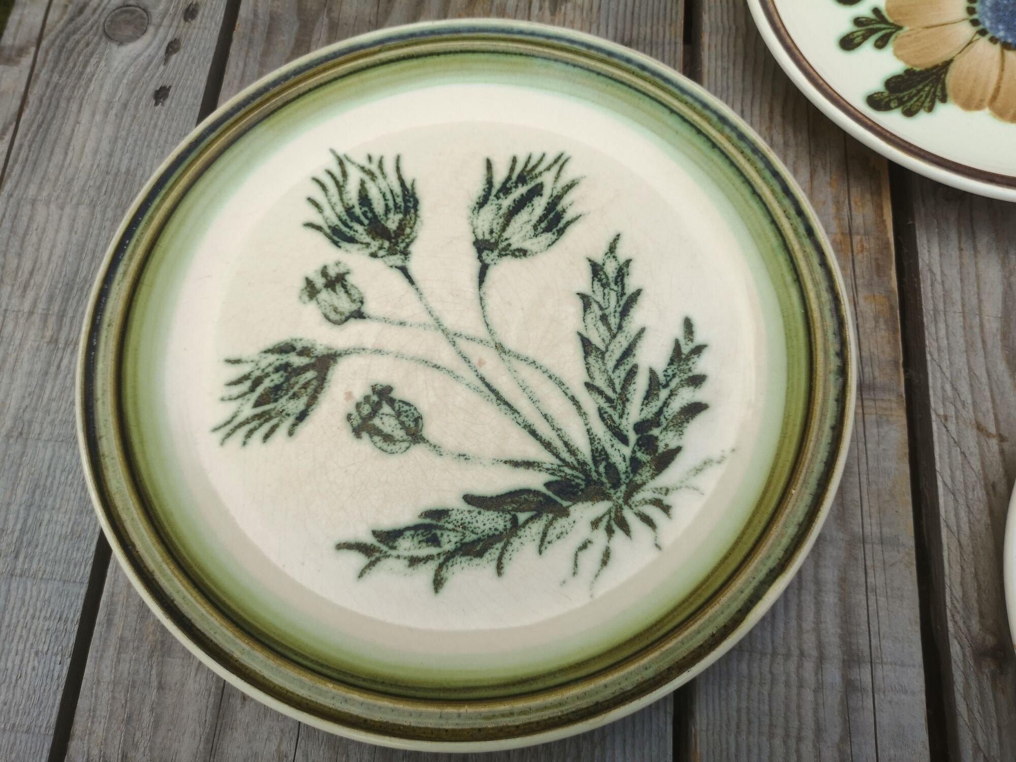 Lot of 4 mismatched plates herbarium vegetable decoration