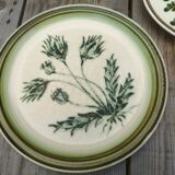 Lot of 4 mismatched plates herbarium vegetable decoration
