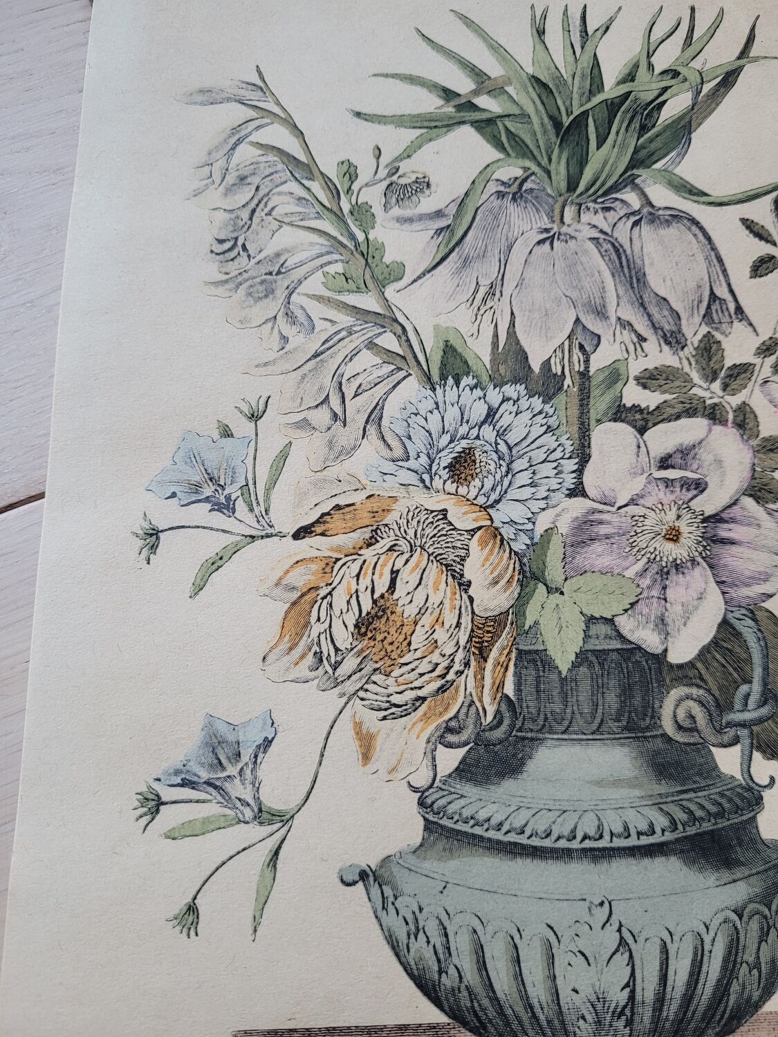 Floral engraving reproduction