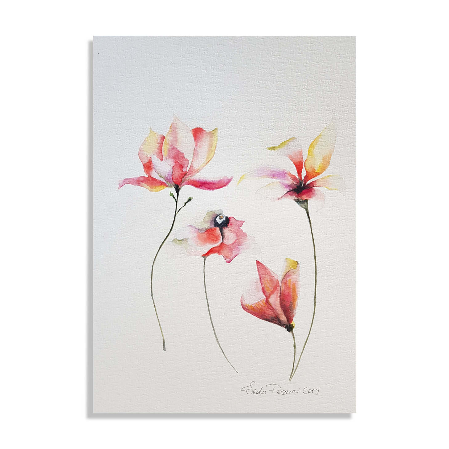 Watercolor of magnolias