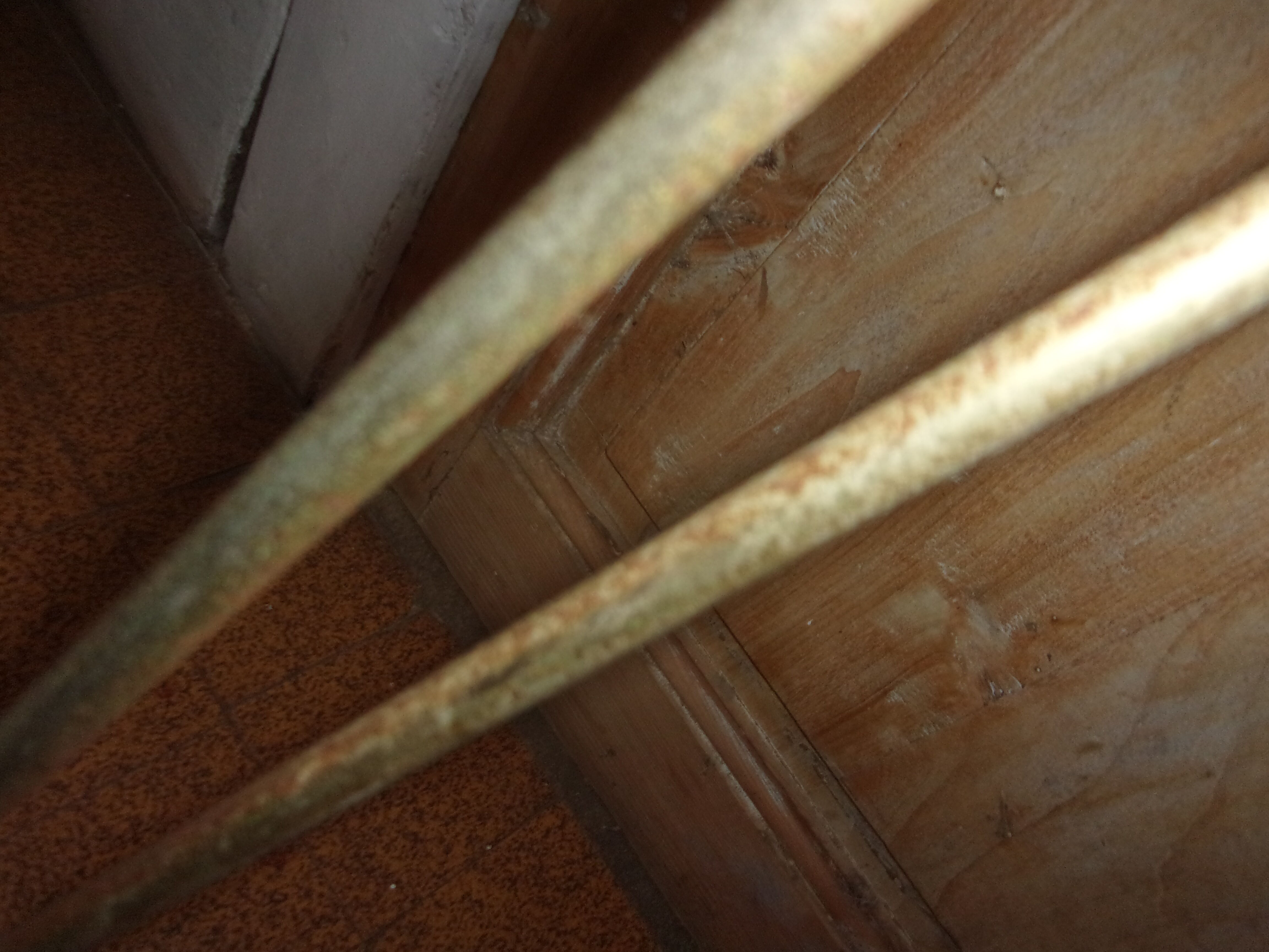 Service formica doree 1960