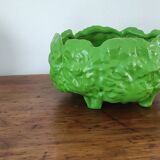 Cabbage salad bowl
