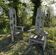 Pair of driftwood armchairs