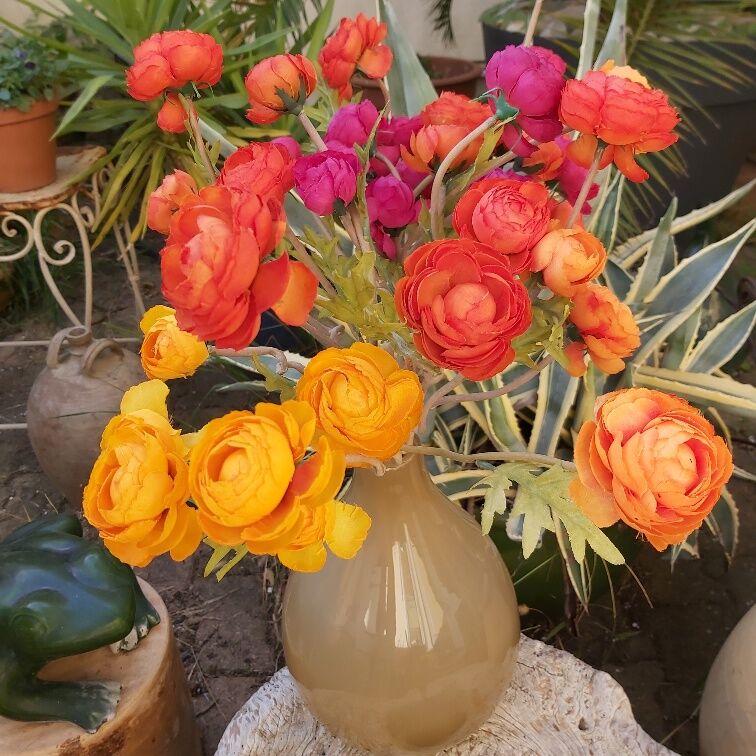 Murano vase in vintage cream brown glass 30 cm