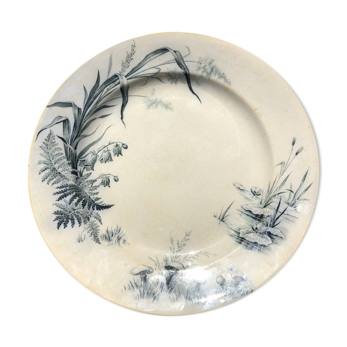 Plate Villeroy and Boch model Alaska