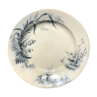 Assiette Villeroy et Boch modèle Alaska