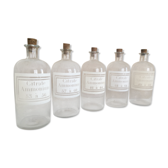 Lot de 5 flacons d'apothicaire citrate d'ammonium