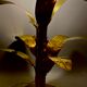 Palm tree brass floor/table lamp, Bottega Gadda Italy, 1960