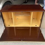 Vintage bar or TV furniture