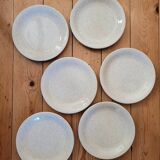 6 assiettes à dessert mouchetées