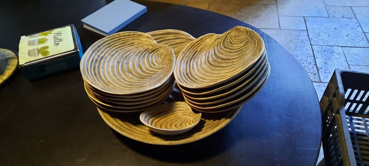 Dominique Guillot Vallauris Service