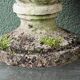 Pair of pine cones in reconstituted stone