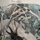 Antique lithograph from 1886 - Insects and beetles (2) - Engraving