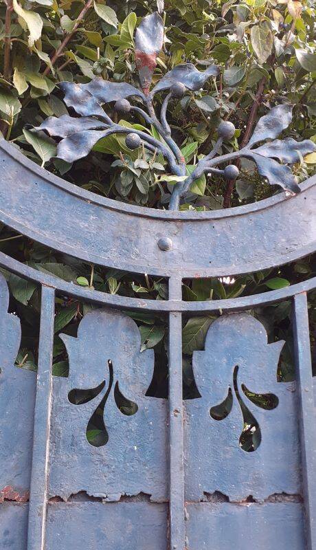 Portillon plein, fer jardin, H247x110cm, ancien, porte extérieure