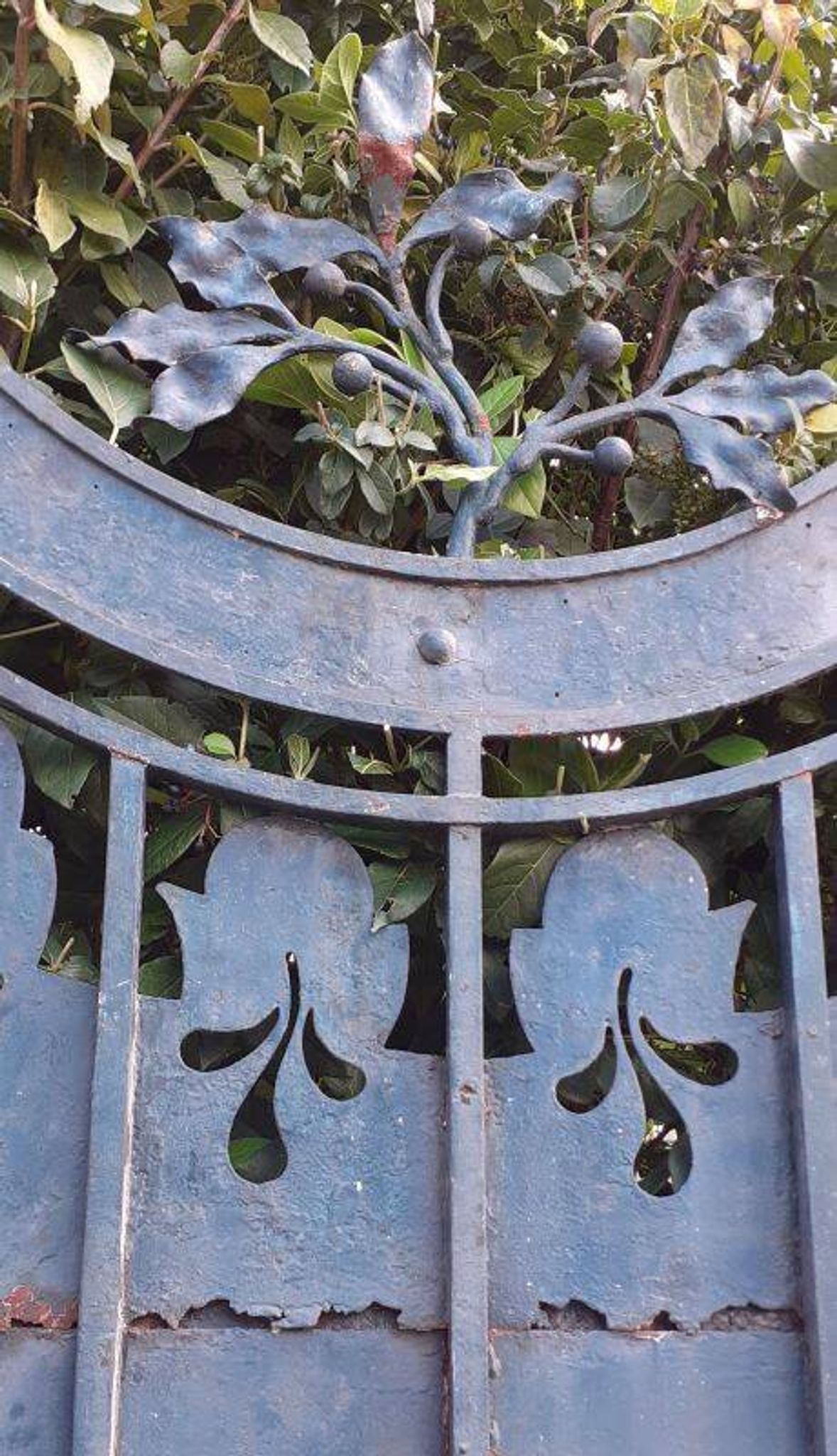 Solid gate, garden iron, H227x110cm, old, exterior door