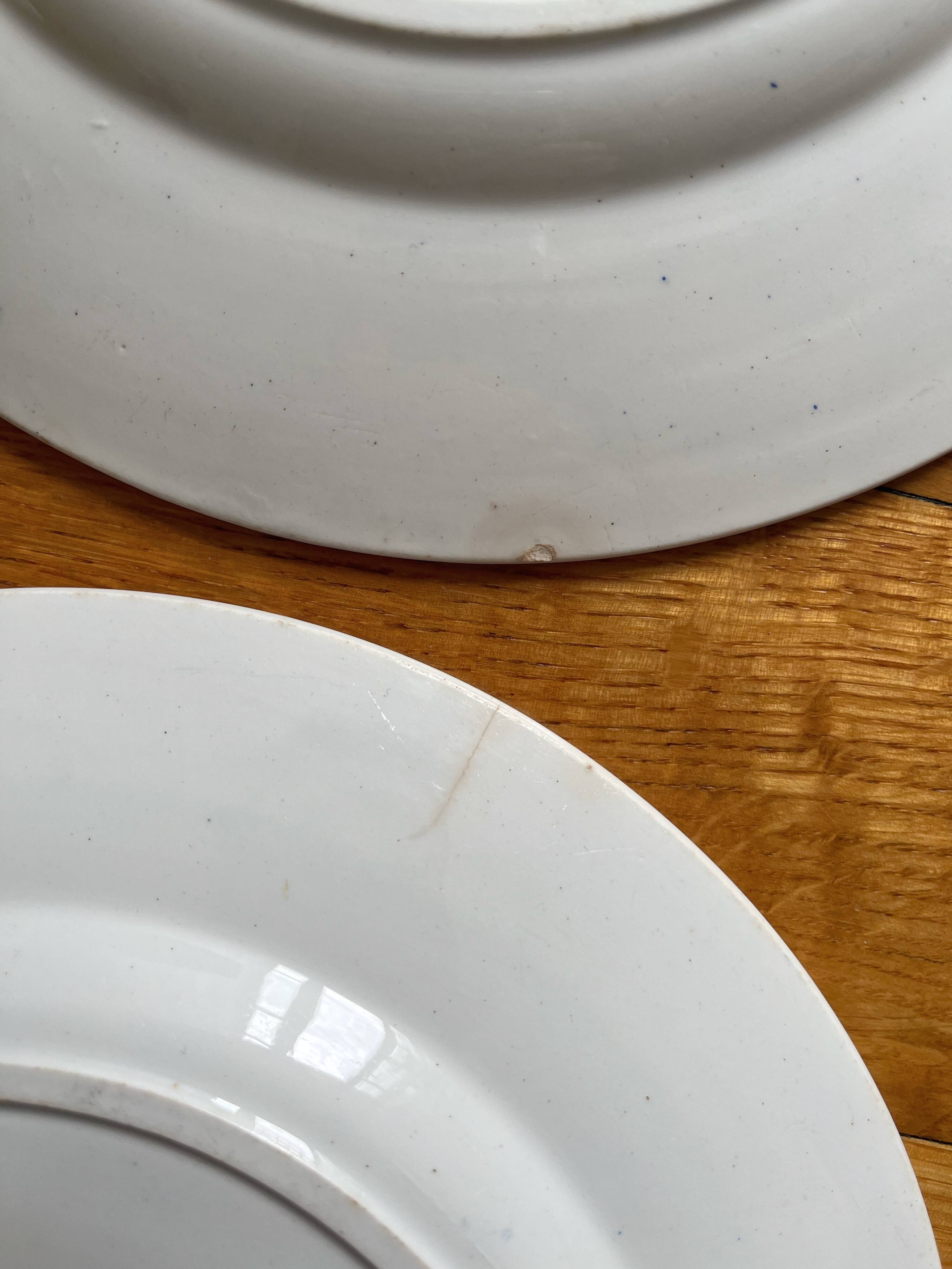 12 small flat plates "Campanule" Saint Amand and Hamage