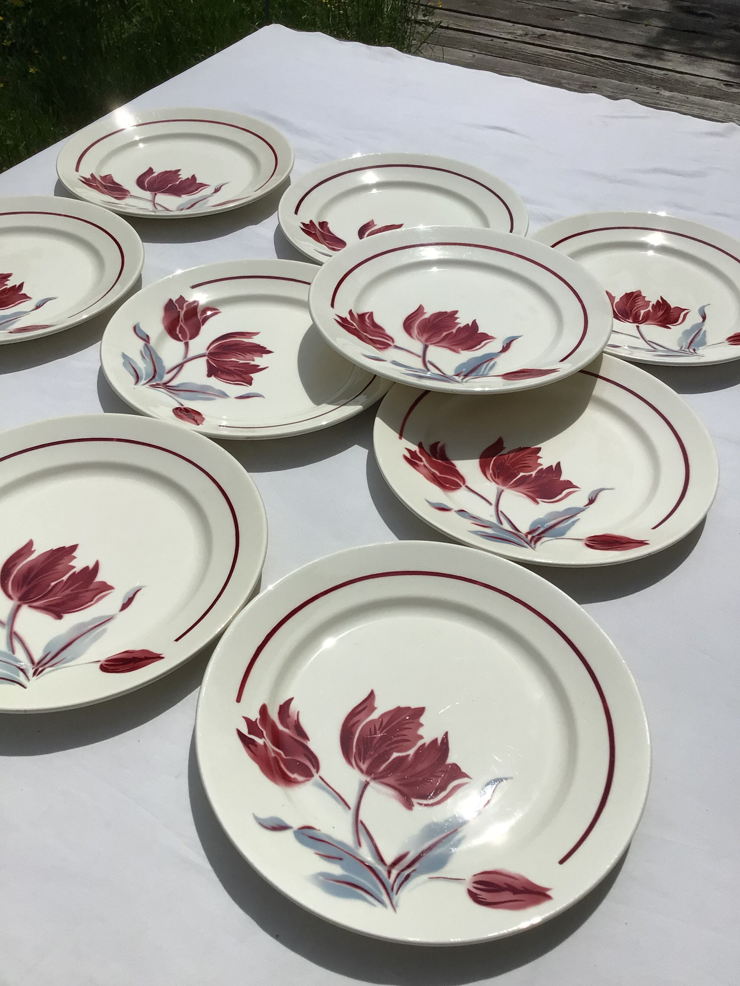 10 assiettes plates Badonviller modèle Juliette  tulipes bordeaux