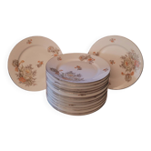 Série assiettes porcelaine florale 40's