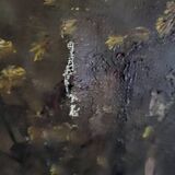 Signed oil painting on gilded wooden frame