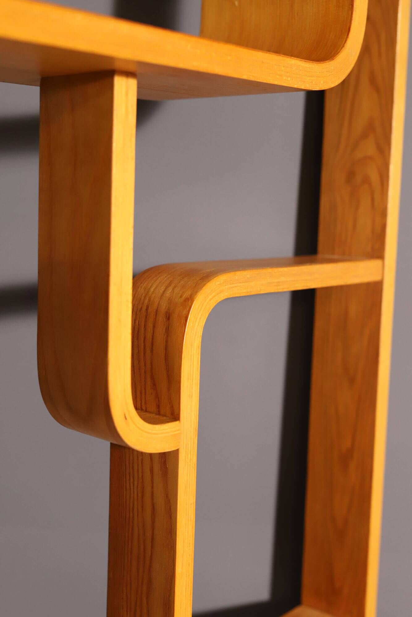 Mid-Century Divider by Ludvik Volak for Drevopodnik Holesov, 1970s