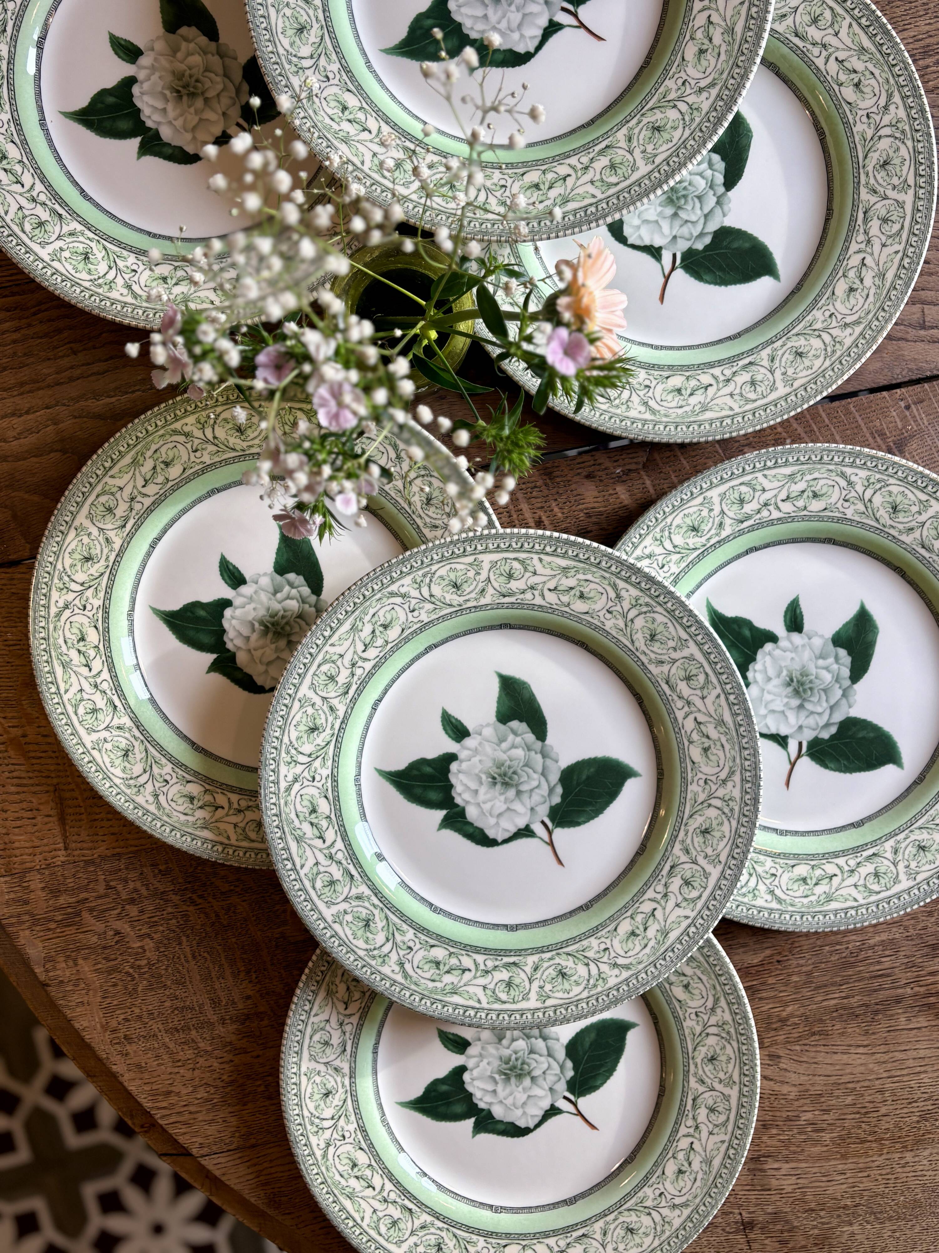 Lot de 8 assiettes plates Camélia - en porcelaine Anglaise