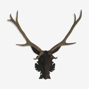 Trophy deer