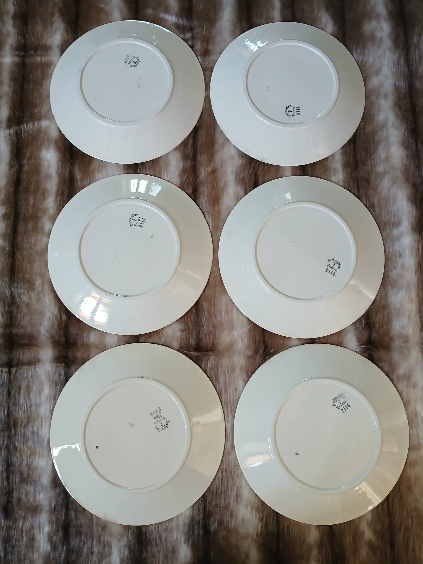 6 assiettes plates anciennes en Terre de fer