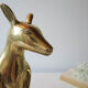 Brass kangaroo