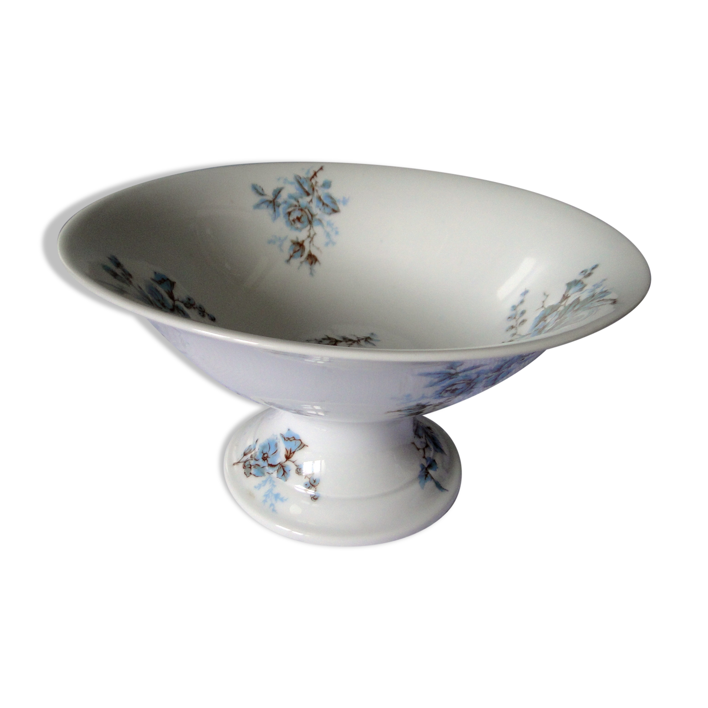 Foot cut hard porcelain shower A.Hache & Cie V France art nouveau bird blue flowers