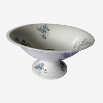 Coupe pied douche porcelaine dure A.Hache & Cie V France art nouveau oiseau fleurs bleues