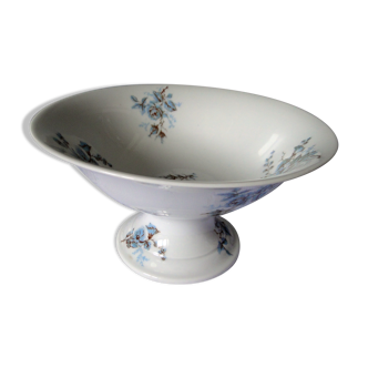 Foot cut hard porcelain shower A.Hache & Cie V France art nouveau bird blue flowers
