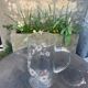 Orangeade decanter with ancient engraved flowers