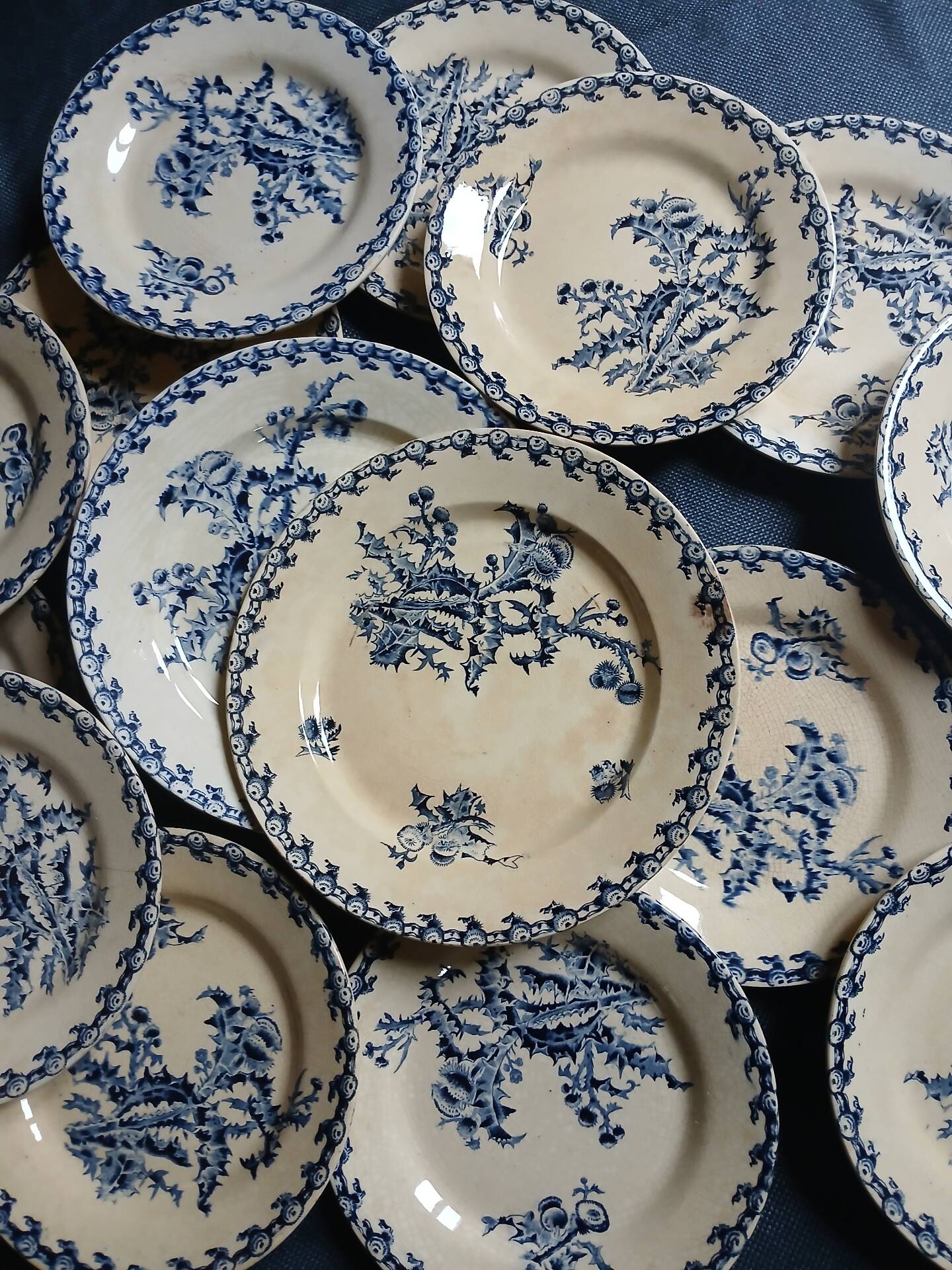 14 dinner plates + 2 "Chardons" dishes from Gien