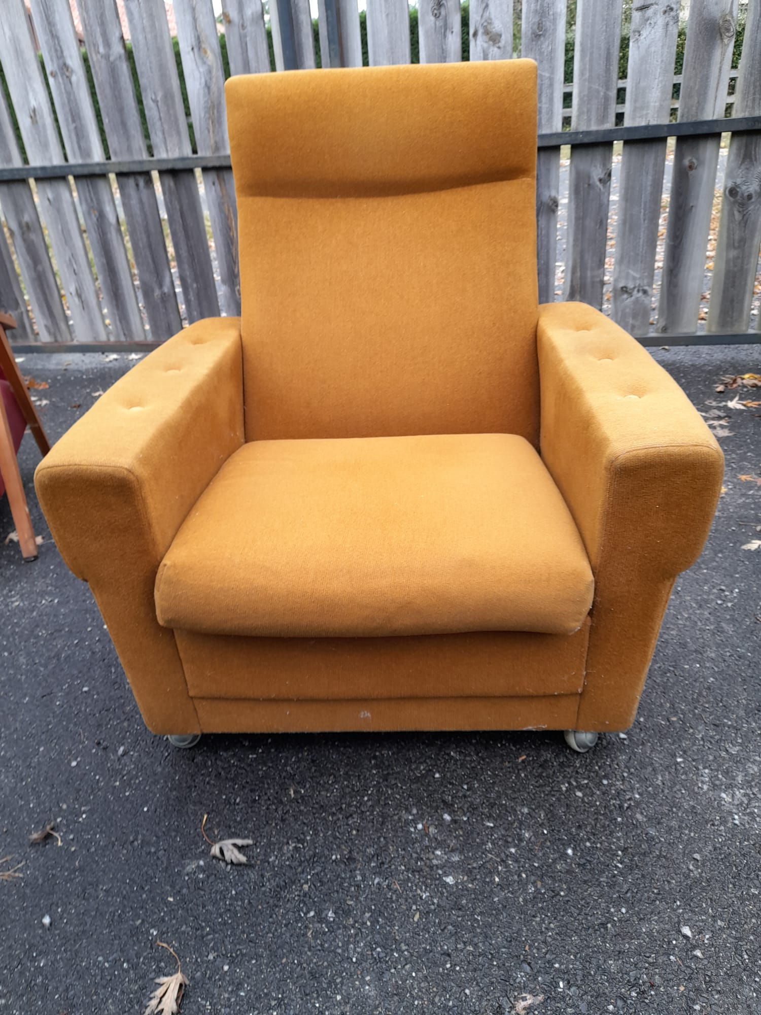 Pair of armchairs from the 70s in ochre velvet